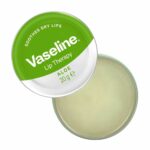 Vaseline Lip Treatment with Aloe Vera 17 gm