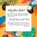 Les Karites Shea Butter Deep Moisturizing Conditioner – 400ml