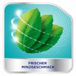 Corega Denture Fixative Cream Mint Flavor 40 GM