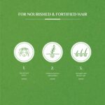 Vatika Naturals Hair Fall Control Shampoo 180ml