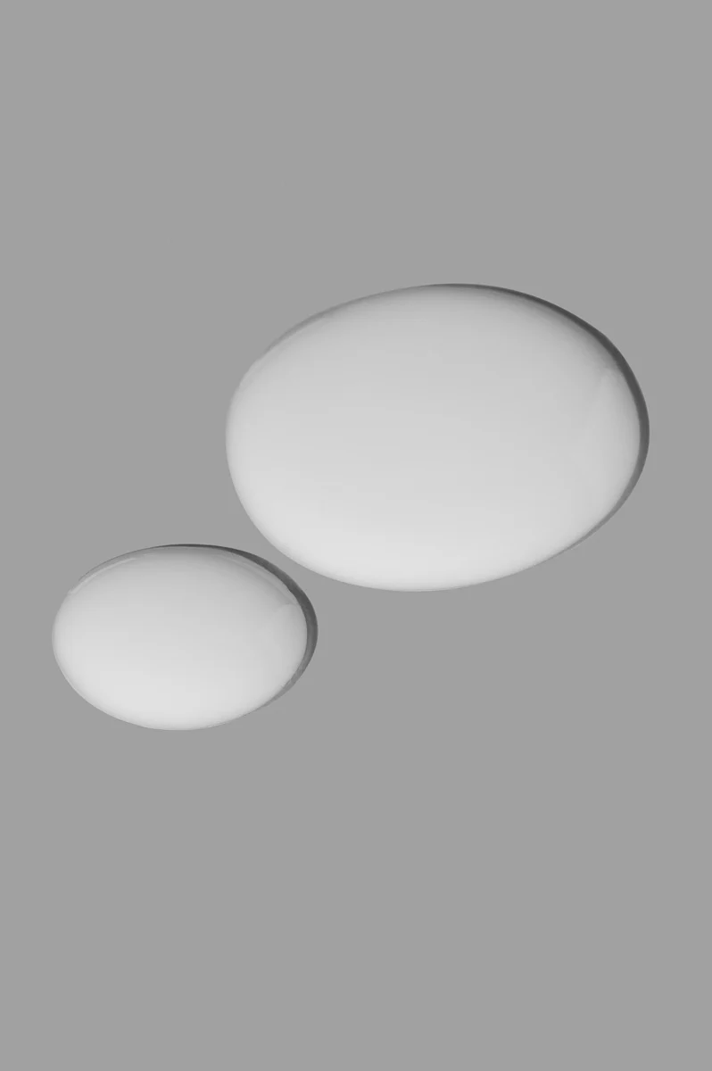 Texture_Spanish_Labs_2406272121_3ff6a60c-b817-46e8-a9b7-3ed9409489ae