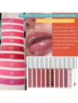 CAKAILA Matte Lipstick and Lip Lacquer Moisturizing 10 pcs