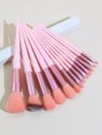 Shein 13pcs pink Makeup Brushes + Puff And Sponge