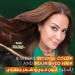 Garnier Color Naturals Hair Dye 3 Dark Brown