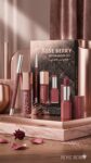 Rose Berry Lips Makeup Set