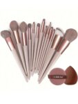 Shein 13 pcs makeup brush set + 2 brown makeup sponges