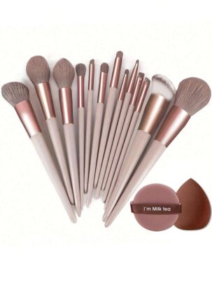 Shein 13 pcs makeup brush set + 2 brown makeup sponges