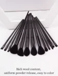 Shein piece makeup brush set Black 13pes